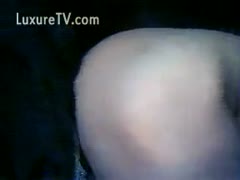 A horny man uses a dog's rod to release himself.